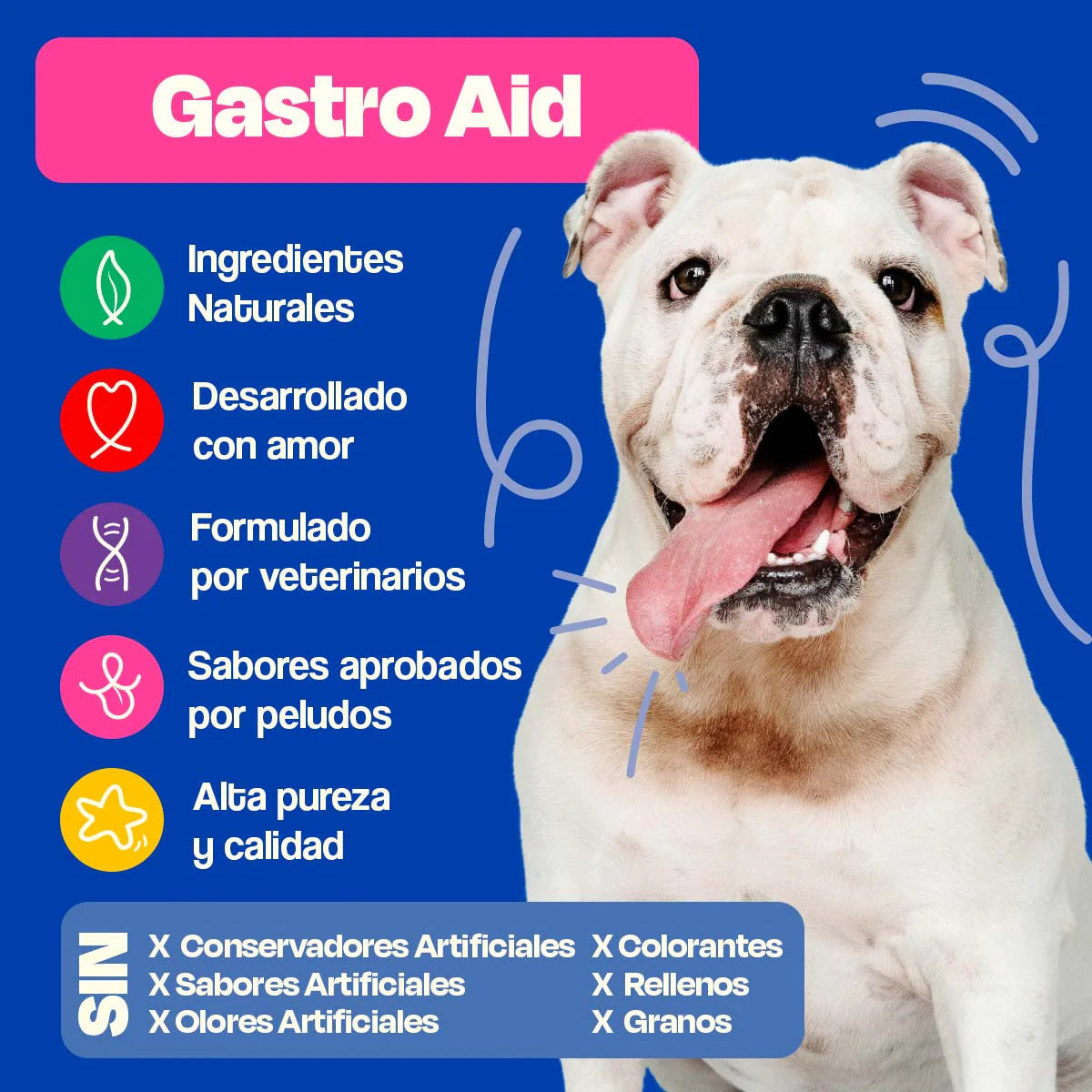 Dogelthy Probióticos para Perros - Gastro Aid 270 Gramos