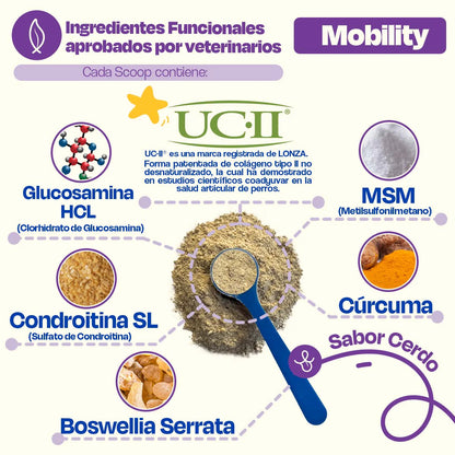 Dogelthy Suplemento para Articulaciones de Perros- Mejora la movilidad en menos de 30 Dias