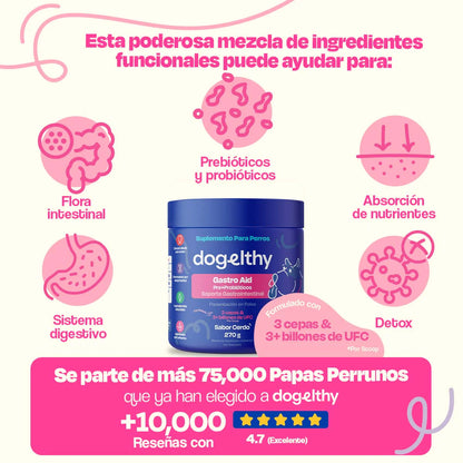 Dogelthy Probióticos para Perros - Gastro Aid 270 Gramos
