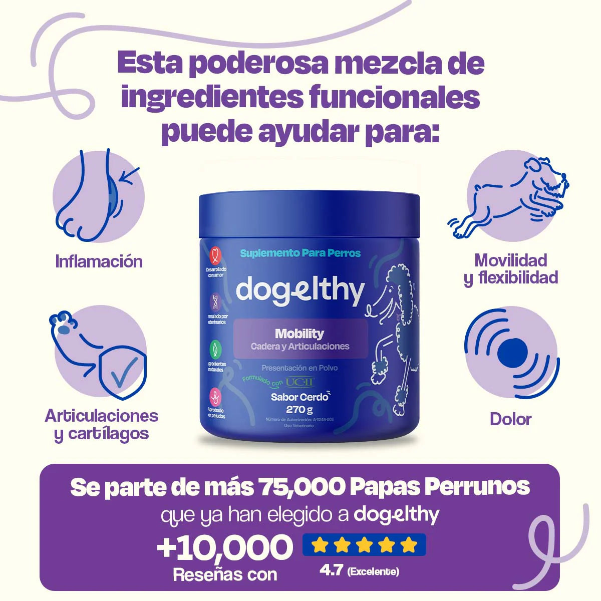 Dogelthy Suplemento para Articulaciones de Perros- Mejora la movilidad en menos de 30 Dias