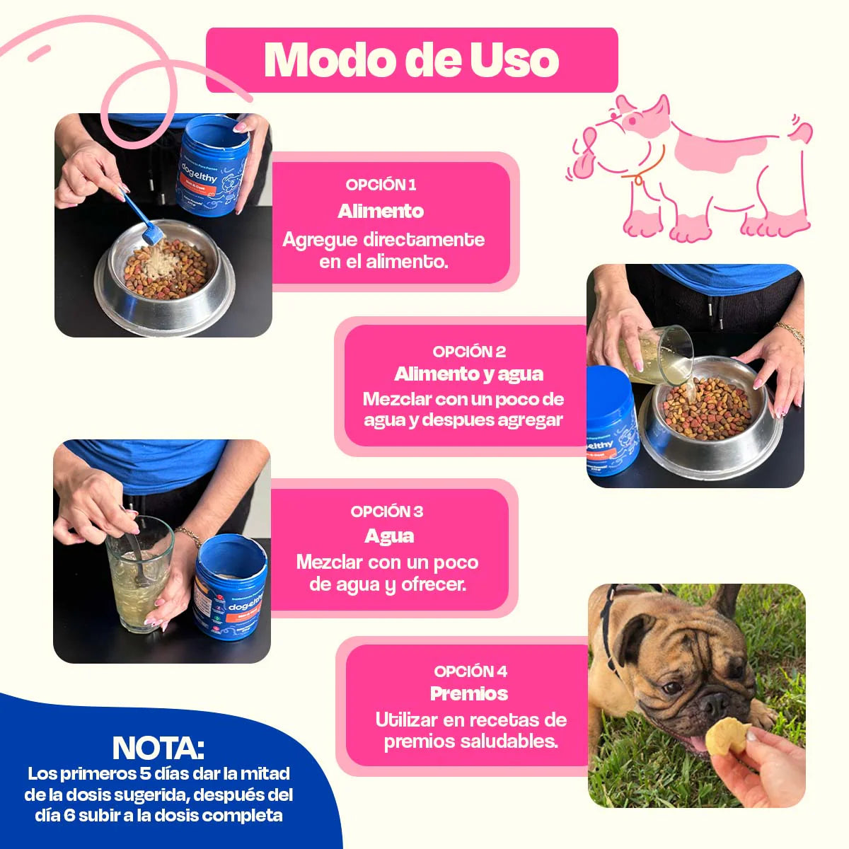 Dogelthy Probióticos para Perros - Gastro Aid 270 Gramos