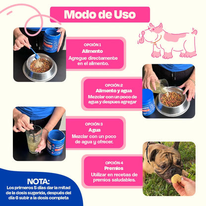 Dogelthy Probióticos para Perros - Gastro Aid 270 Gramos