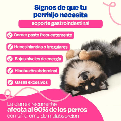 Dogelthy Probióticos para Perros - Gastro Aid 270 Gramos