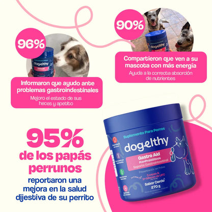 Dogelthy Probióticos para Perros - Gastro Aid 270 Gramos