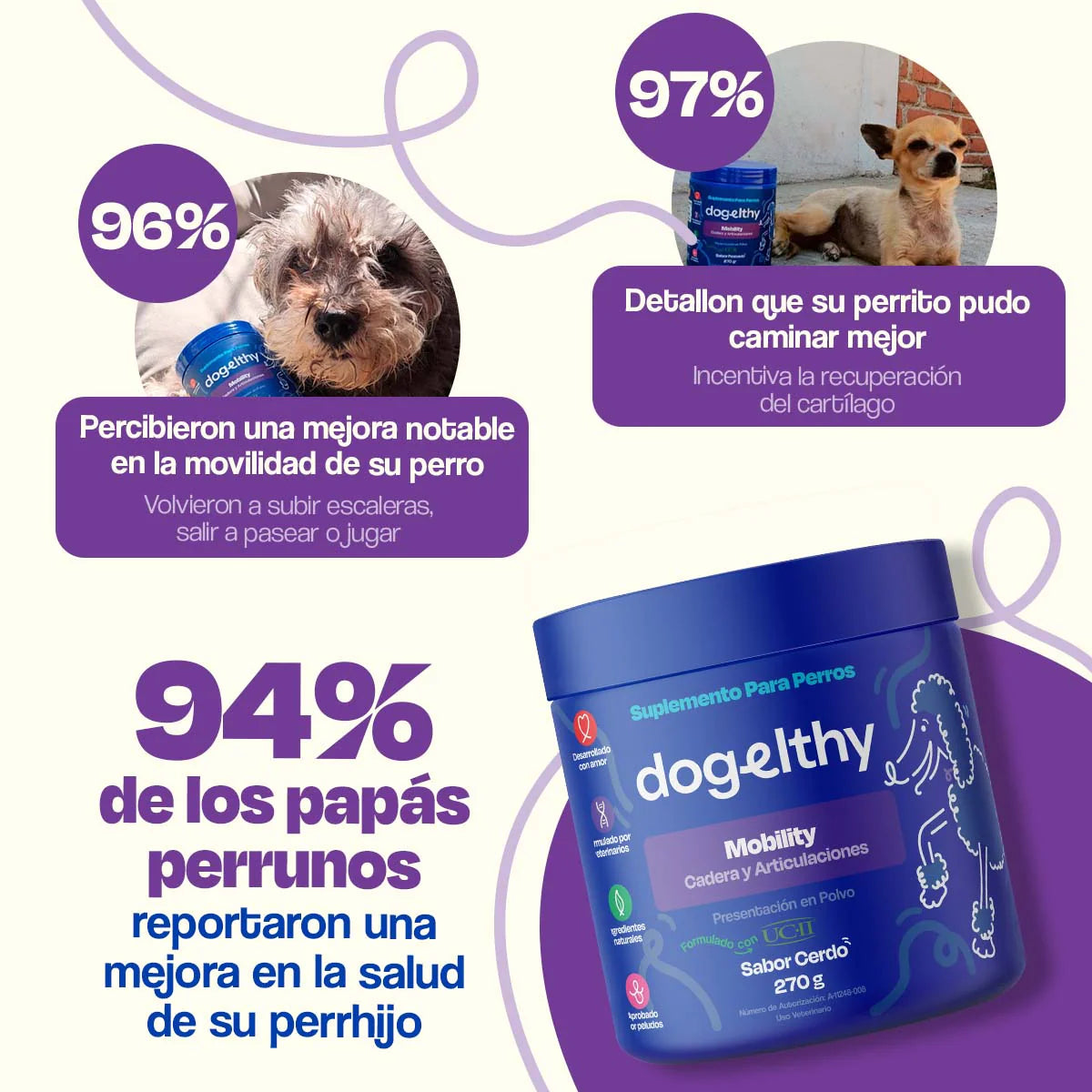 Dogelthy Suplemento para Articulaciones de Perros- Mejora la movilidad en menos de 30 Dias