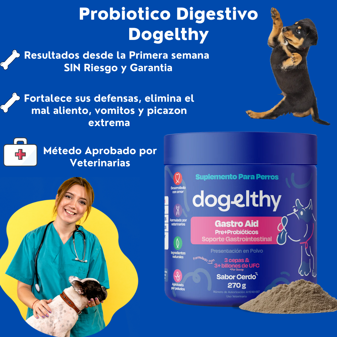 Dogelthy Probióticos para Perros - Gastro Aid 270 Gramos